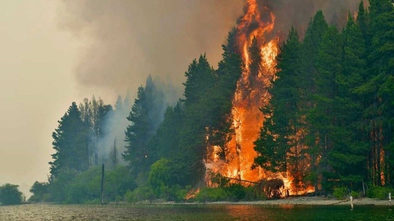 El gobierno chubutense coordina el amplio operativo que reúne a cerca de 350 personas.