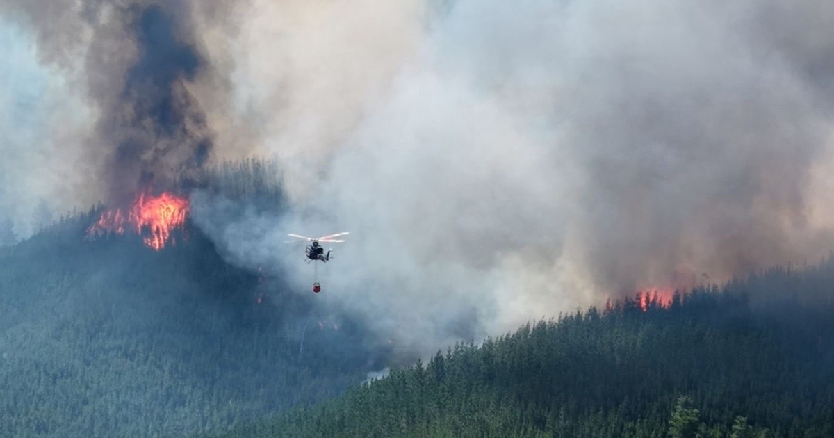 Incendios en la Patagonia: cortan la ruta 40 por el avance del fuego y ...