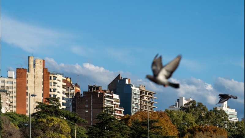 Cielo algo nublado y viento sur, las claves del clima de este sábado.