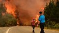 Ya son más de 3.500 las hectáreas afectadas por los incendios forestales en Chubut.