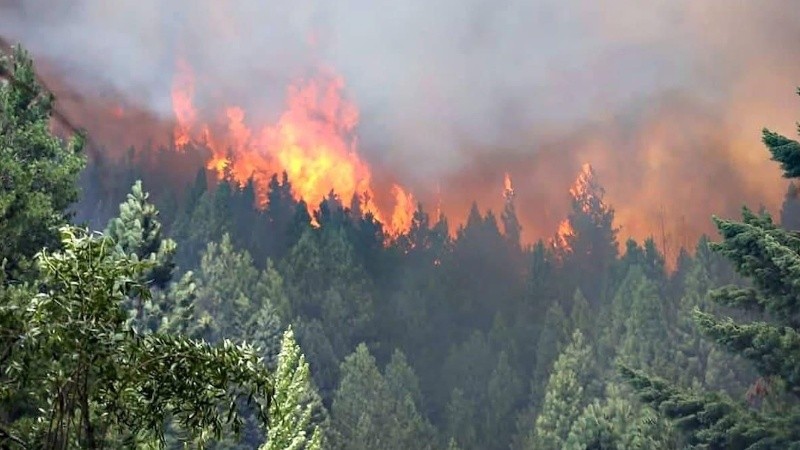 Los incendios en Chubut afectaron por lo menos 12.000 hectáreas.