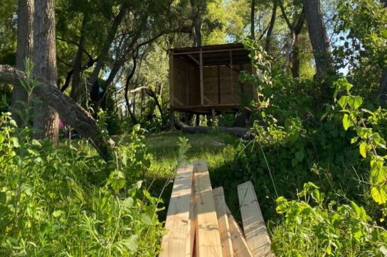 La obra se detectó sobre el noroeste de la isla (Comisión Intersectorial Isla de los Mástiles).