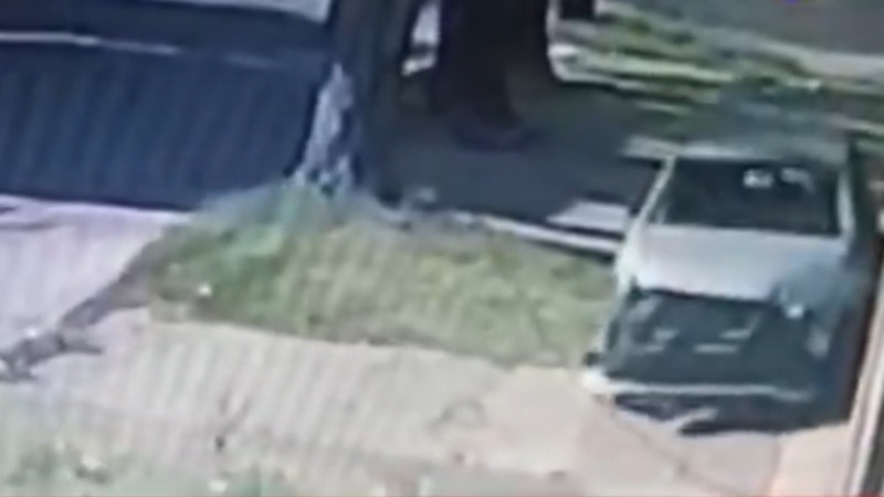 El auto que manejó la adolescente.