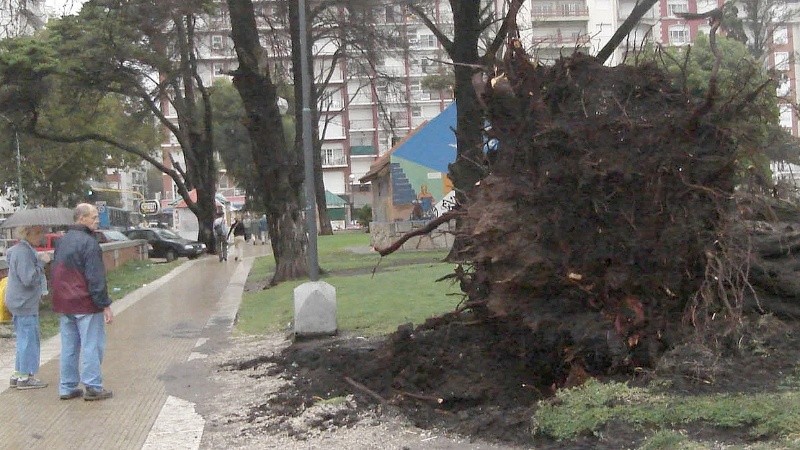 El viento provocó la voladura de techos, postes de luz y cientos de sombrillas. Asimismo, cayeron árboles en la zona céntrica (NA).