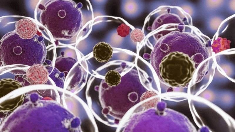 Desde el organismo indicaron que los países se mantengan vigilantes, así como que fortalezcan la preparación de los servicios de salud.