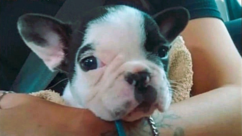 Mila y su familia esperan poder reencontrarse.