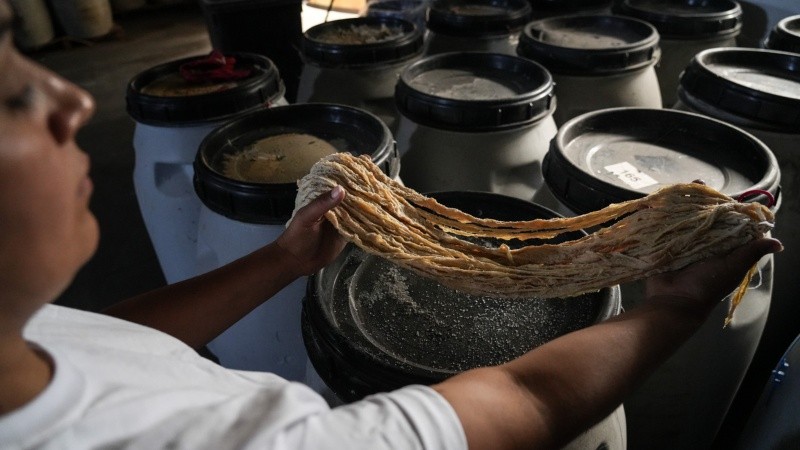 Parte del producto listo para vender que quedó tras el vaciamiento de la empresa.