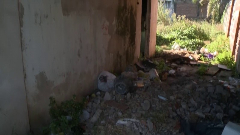 El patio de Mateo Booz 9013.