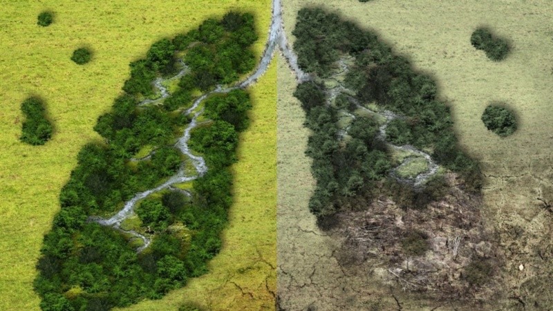 “Nuestros resultados refuerzan la importancia de integrar la calidad del aire local en los planes de atención sanitaria, evaluando la exposición ambiental de cada paciente para identificar riesgos adicionales”, explicaron.