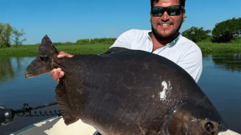 El ejemplar que lograron capturar los pescadores.