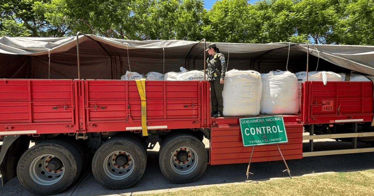 Controles de Gendarmería a un camión con bidones de soda cáustica en la región de Rosario