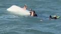 Rescataron a una familia argentina que volcó con su lancha en Punta del Este.