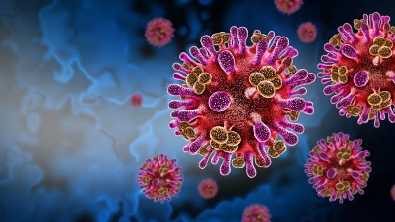 El virus pertenece al grupo de riesgo de patógenos BSL 4, que es el más alto que existe.