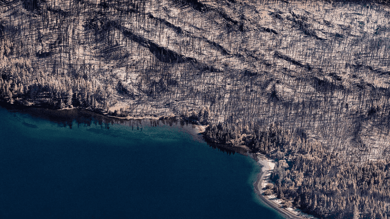 Incendios Pto. Patriada Chubut