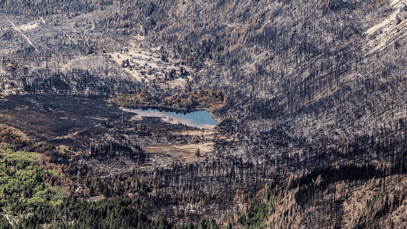 Incendios Pto. Patriada Chubut