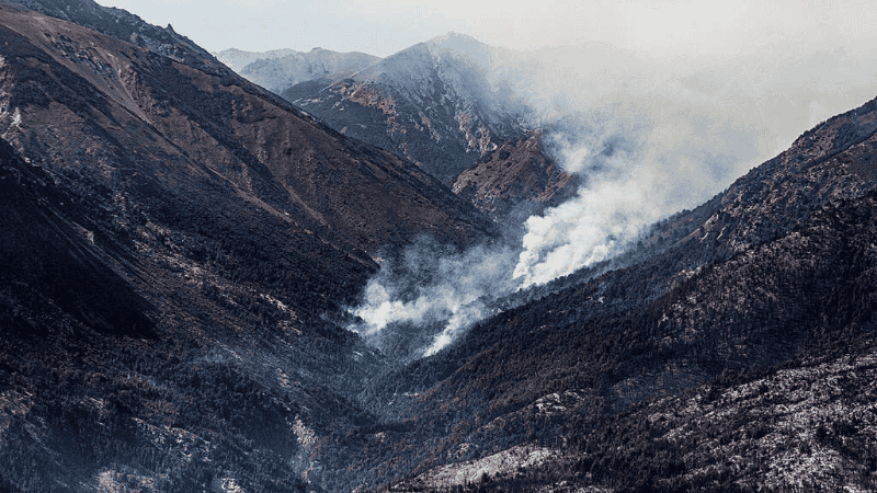 Incendios Pto. Patriada Chubut