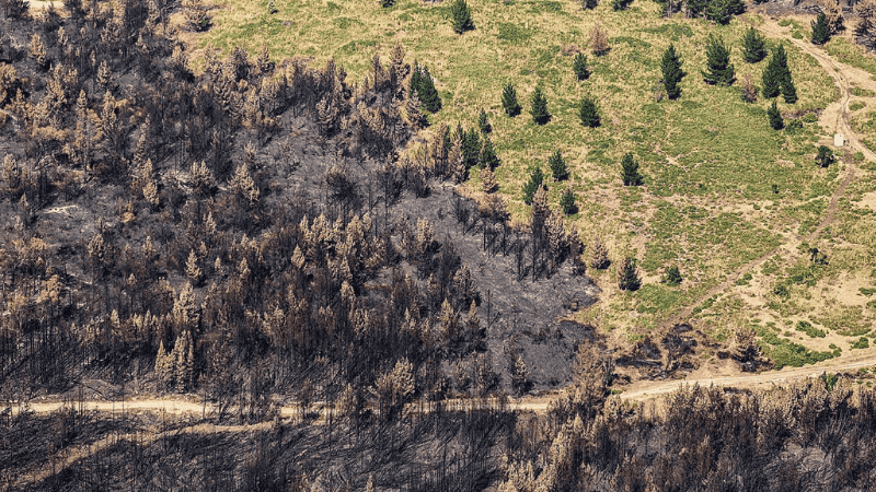 Incendios Pto. Patriada Chubut