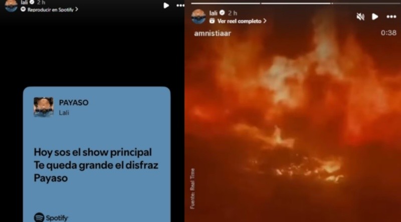 &nbsp;Las historias que subió la artista tras la actuación de Milei en Mar del Plata. (Instagram)