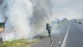 Un incendio tras otro: un enero de mucho trabajo para bomberos rosarinos.