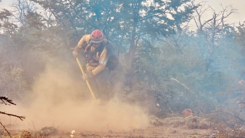 Imagen de un brigadista actuando para mitigar el fuego patagónico.&nbsp;