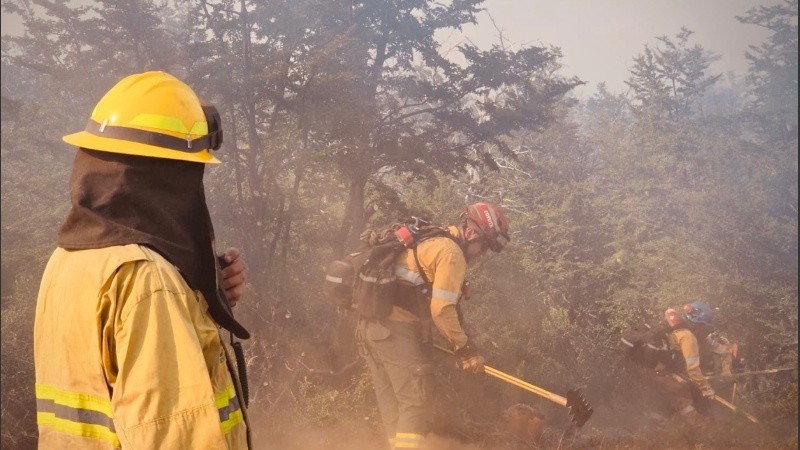 El equipo, conformado por 30 especialistas forestales certificados, fue designado a Cholila para tareas de control y mitigación del fuego.