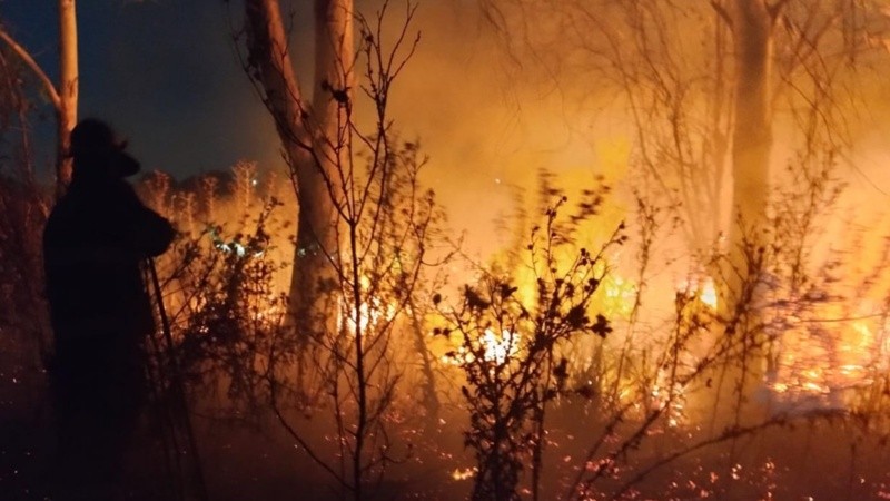 El fuego se desató en un sector del Bosque de los Constituyentes.