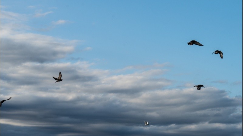 Un cielo mezclado de grises y celeste.