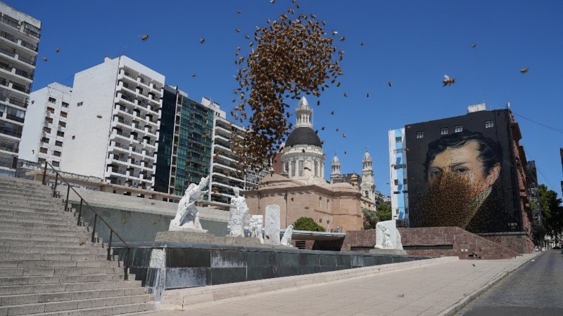 Los enjambres son abejas en movimiento pero aunque se trata de una situación pasajera pueden estar un día en el mismo lugar.