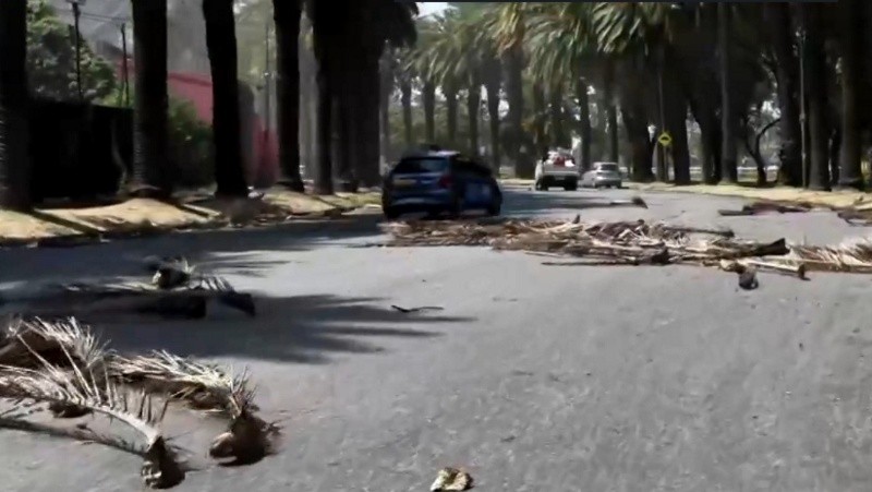 Así quedó el parque Independencia tras los vientos.&nbsp;