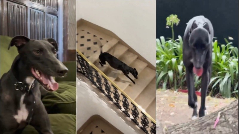 Las aveturas de Gary en Capital Humano.