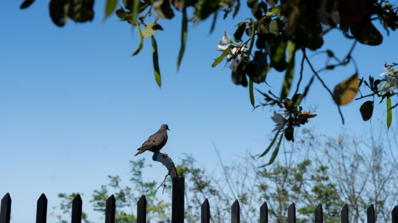Clima tiempo soleado primavera