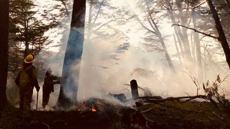 Brigadistas santafesinos lograron contener el avance de uno de los focos.