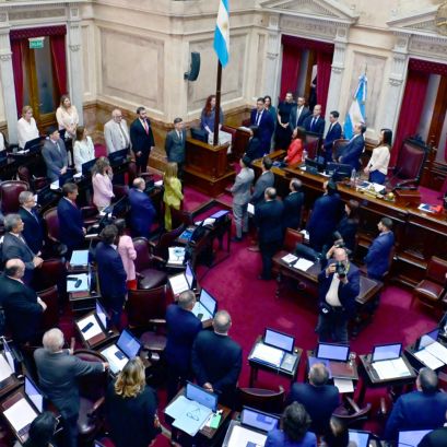 El Senado debate el proyecto de reforma laboral.