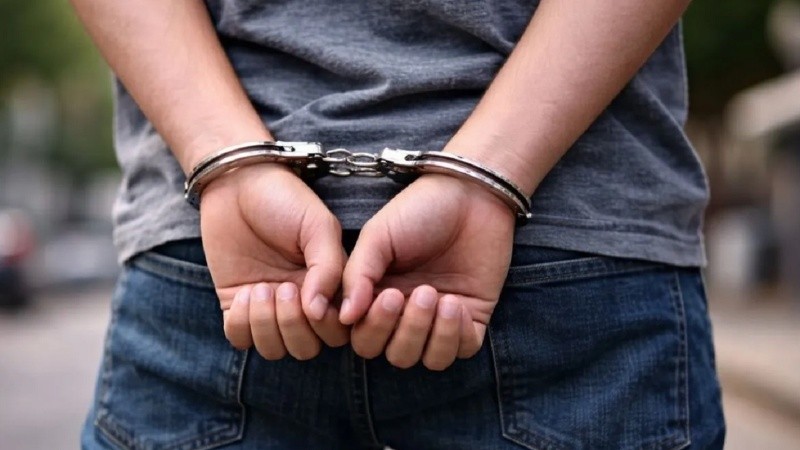 Unicef cuestionó el proyecto para bajar la edad de imputabilidad y reclamó que la reforma penal juvenil promueva medidas socioeducativas .