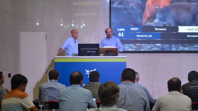 El presente y futuro de la ganadería se siente en cada subasta.