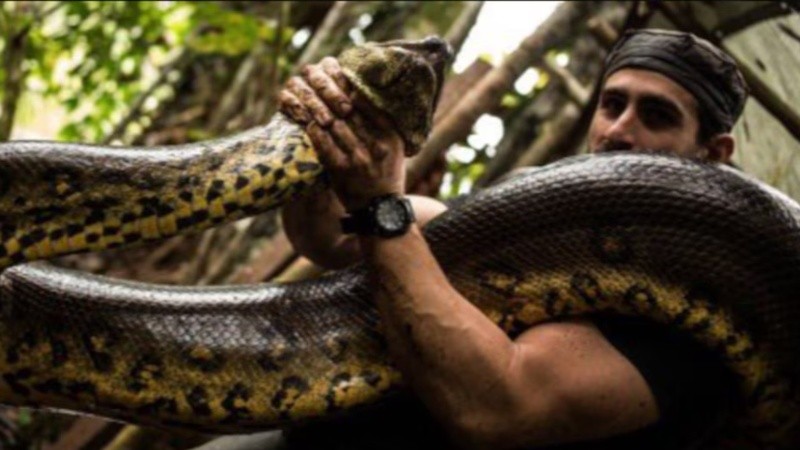 &nbsp;La iniciativa desató controversia internacional, recibiendo tanto críticas por el posible riesgo al animal como elogios por el mensaje ambientalista (Imagen: X)