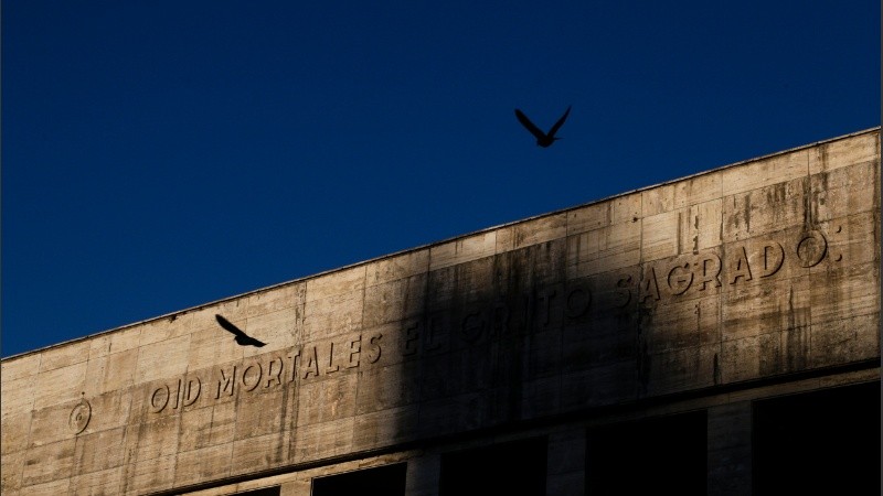 Un cielo azul cruzado de pájaros.