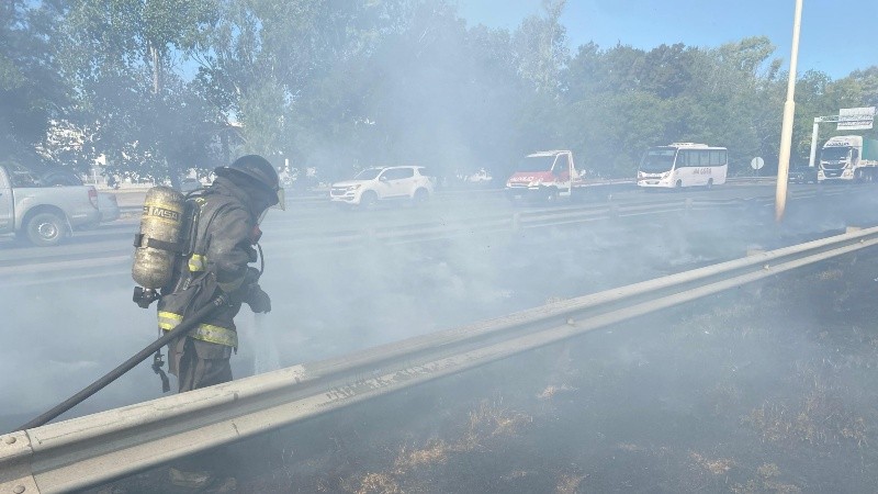Bomberos Zapadores trabajando en el cantero central.