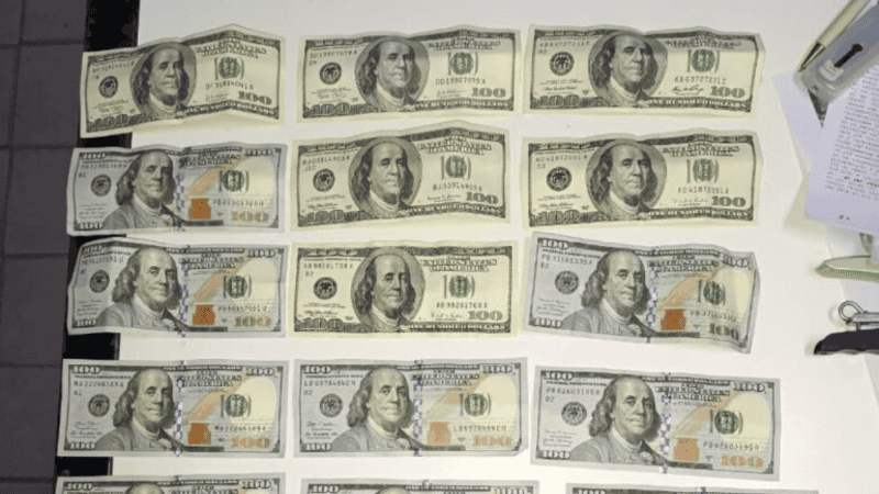 Parte de los dólares encontrados.