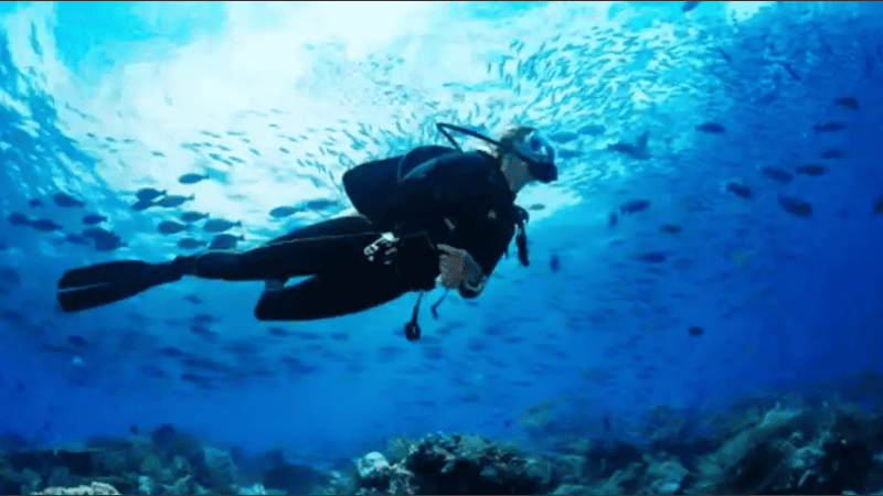 Buscan a una joven de 23 años desaparecida mientras realizaba buceo recreativo en Punta Cuevas.