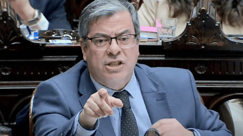 Martínez pidió que la votación sea por artículo, algo que no prosperó.