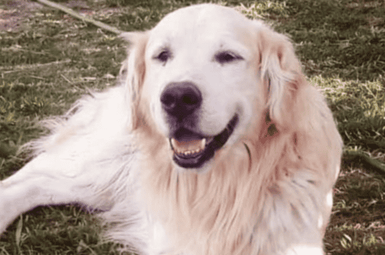 Desde el MPA lo homenajearon destacando su compromiso y la huella que dejó tanto en el equipo que lo acompañó como en las familias a las que ayudó.