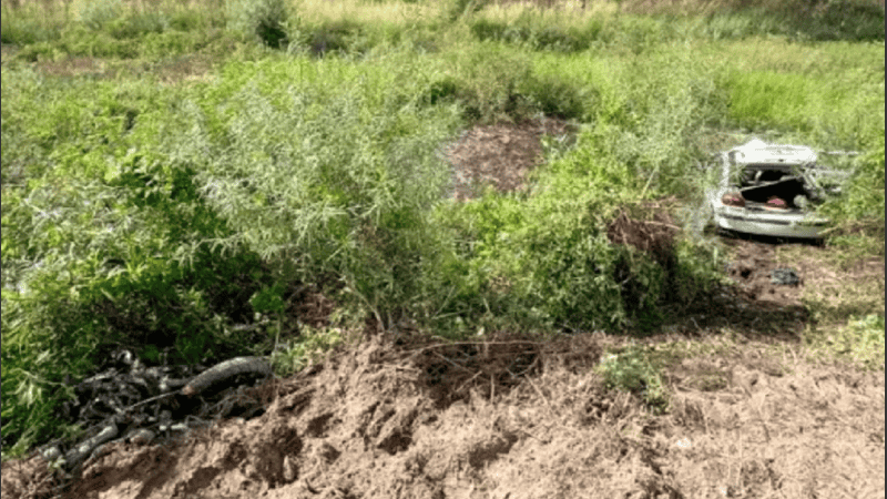 Sucedió en las primeras horas del domingo en la Ruta Provincial 1.