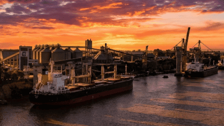 El biodiesel argentino está en jaque por una decisión polémica de la UE.