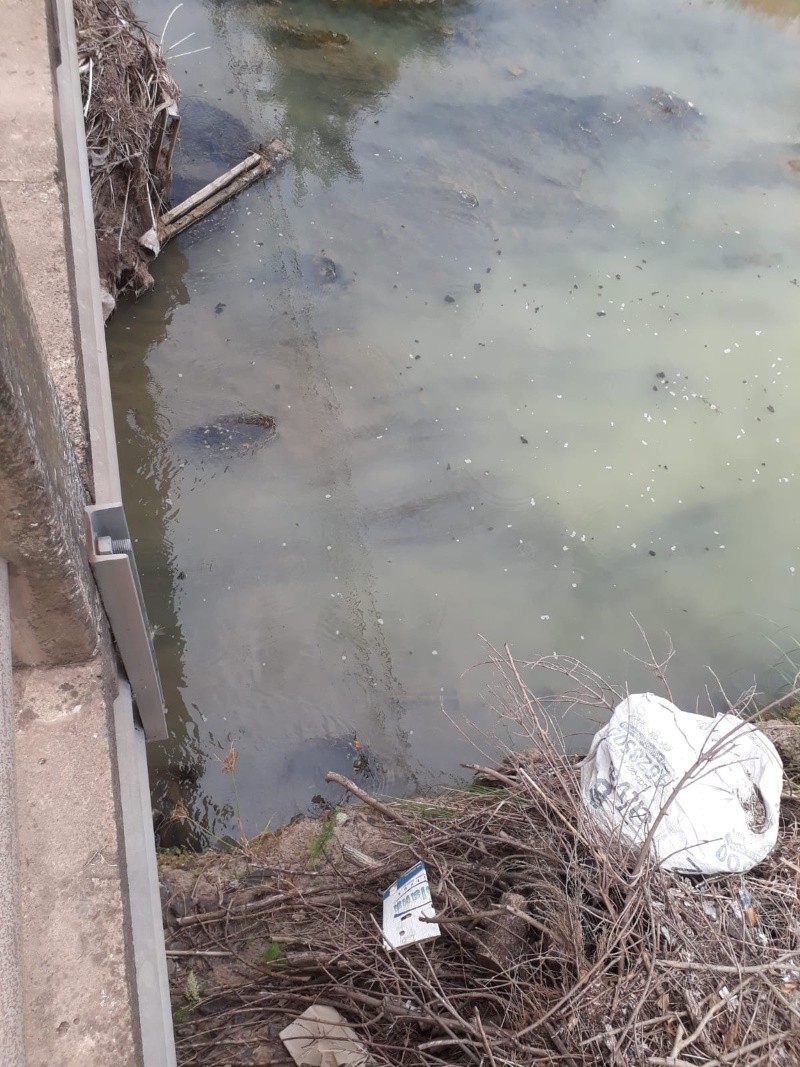 &nbsp;El lugar del desagüe contaminante 