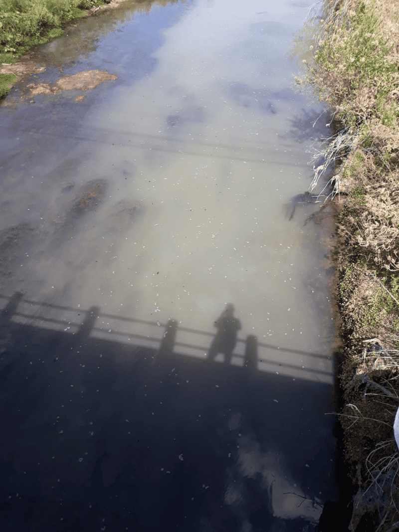 &nbsp;&nbsp;El lugar del desagüe contaminante&nbsp;