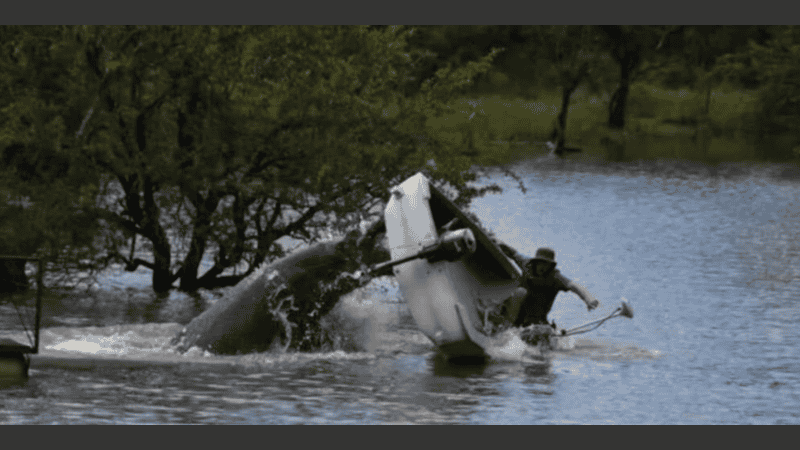 Los hipopótamos son considerados los grandes mamíferos más mortíferos de África.