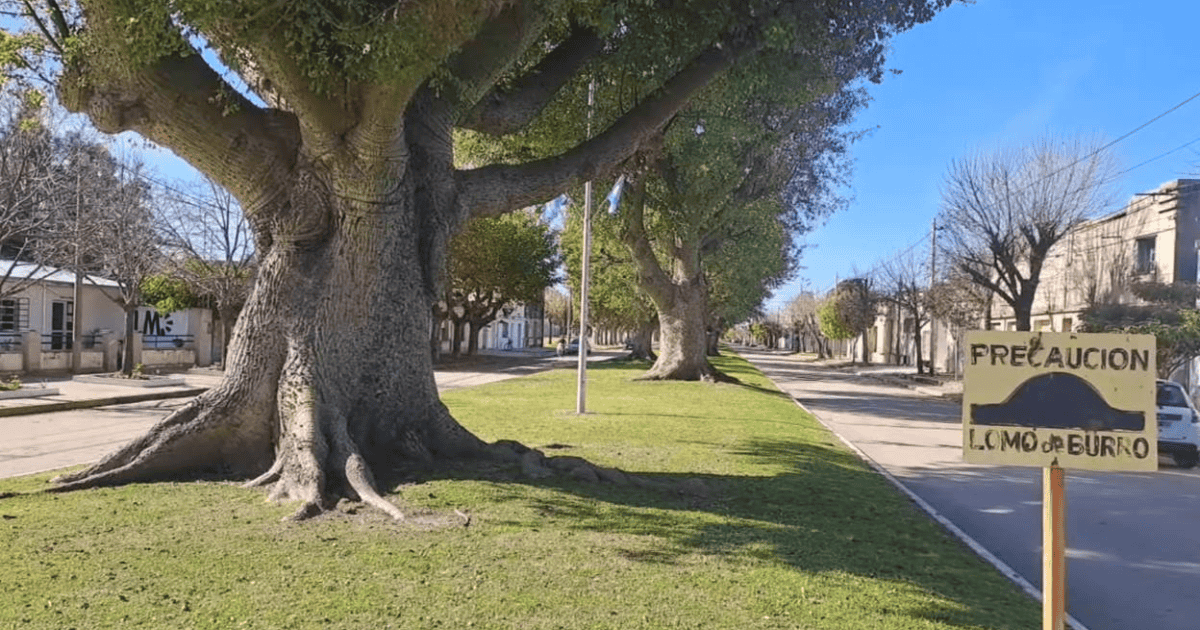 Detuvieron a un joven por la entradera en Los Molinos; la causa suma ocho localidades afectadas