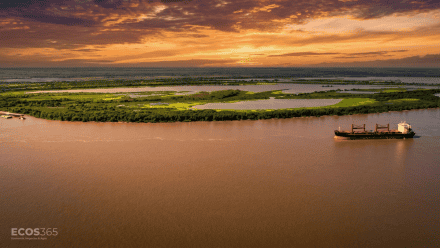 Se presentaron 3 ofertas para la concesión, todas de capitales 100% privados.