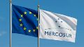Qué resta para que comience a aplicarse el acuerdo Mercosur-Unión Europea.